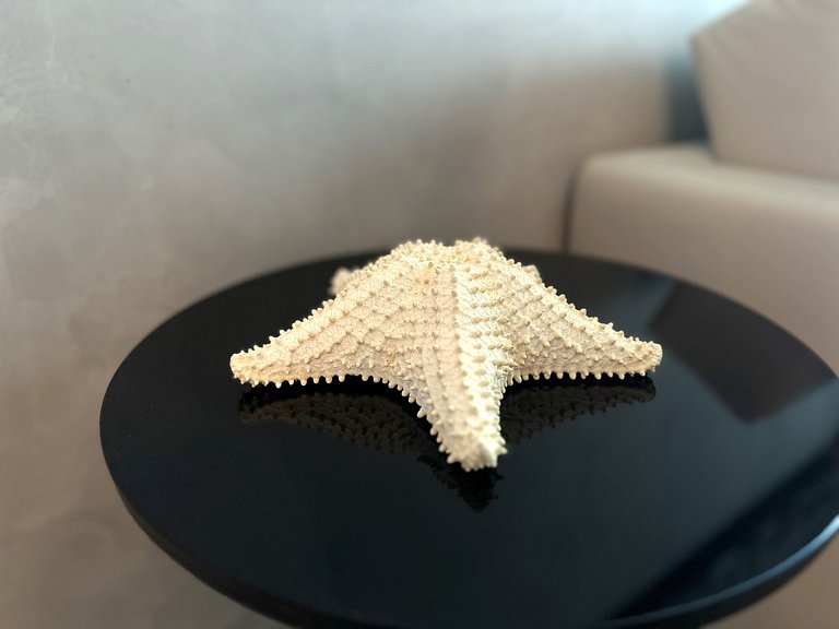 Liv Residence 811 Ponta Verde - Hosti