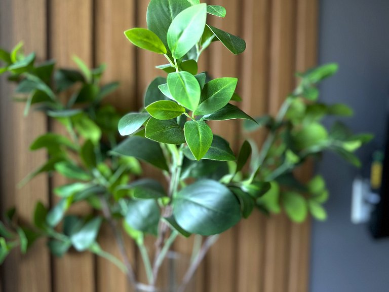 Liv Residence 811 Ponta Verde - Hosti