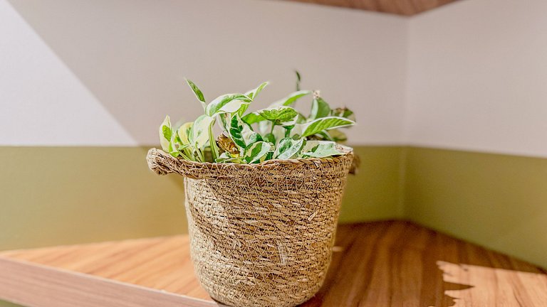 Chalé Duplex 03 Sabalangá -Hosti